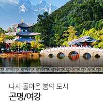 [기획전] 중국 곤명 지역 기획전