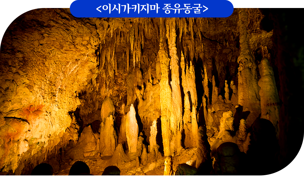 이시가키지마 종유동굴