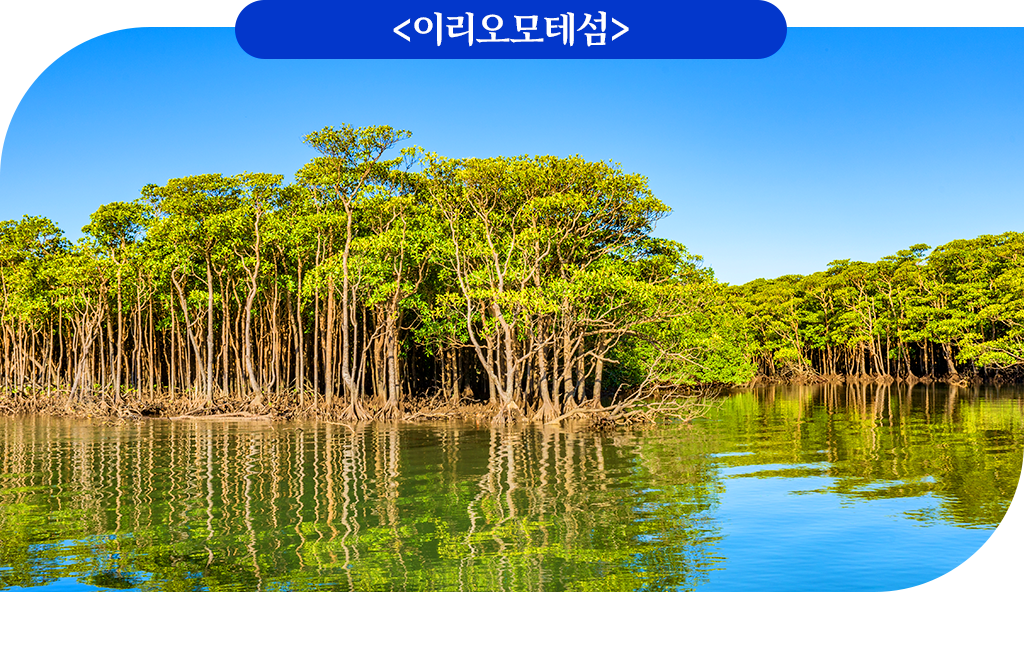 이리오모테섬