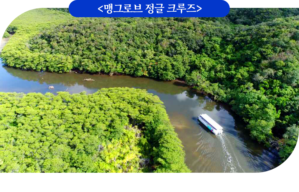 맹그로브 정글 크루즈